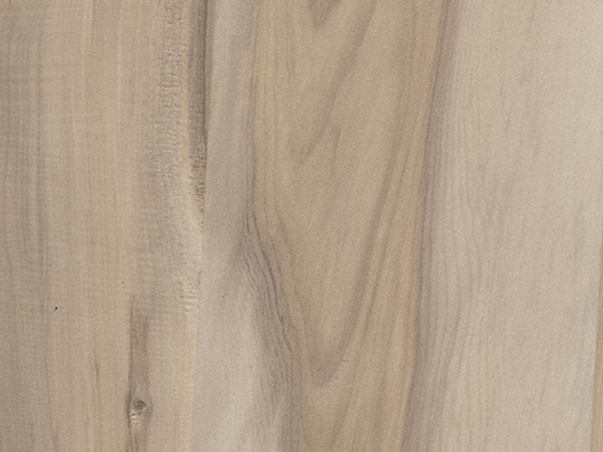 Nigra Walnut